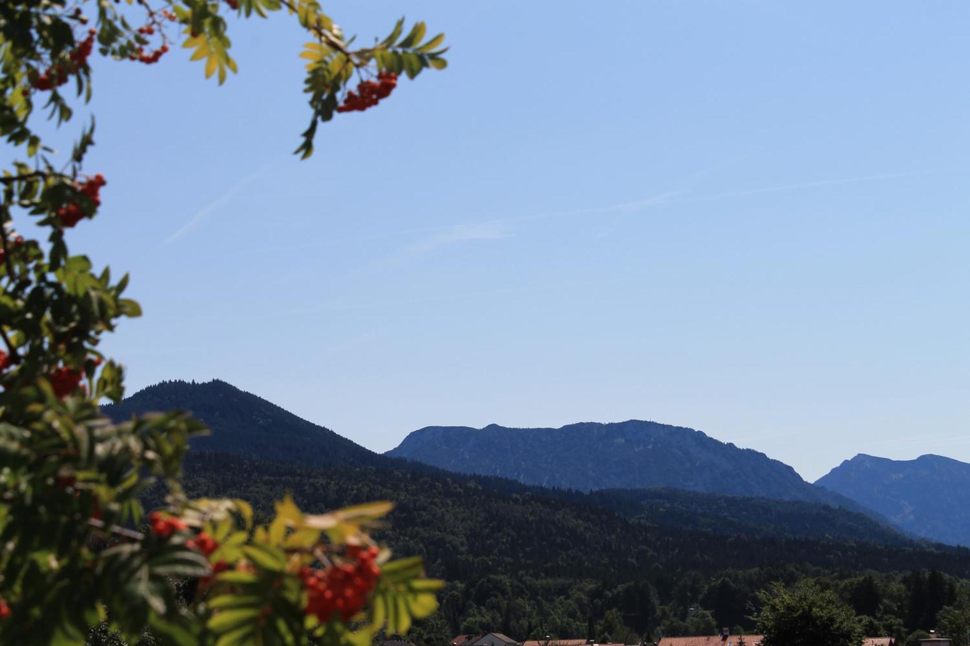 Hotel Garni Edelweiss ジークスドルフ エクステリア 写真