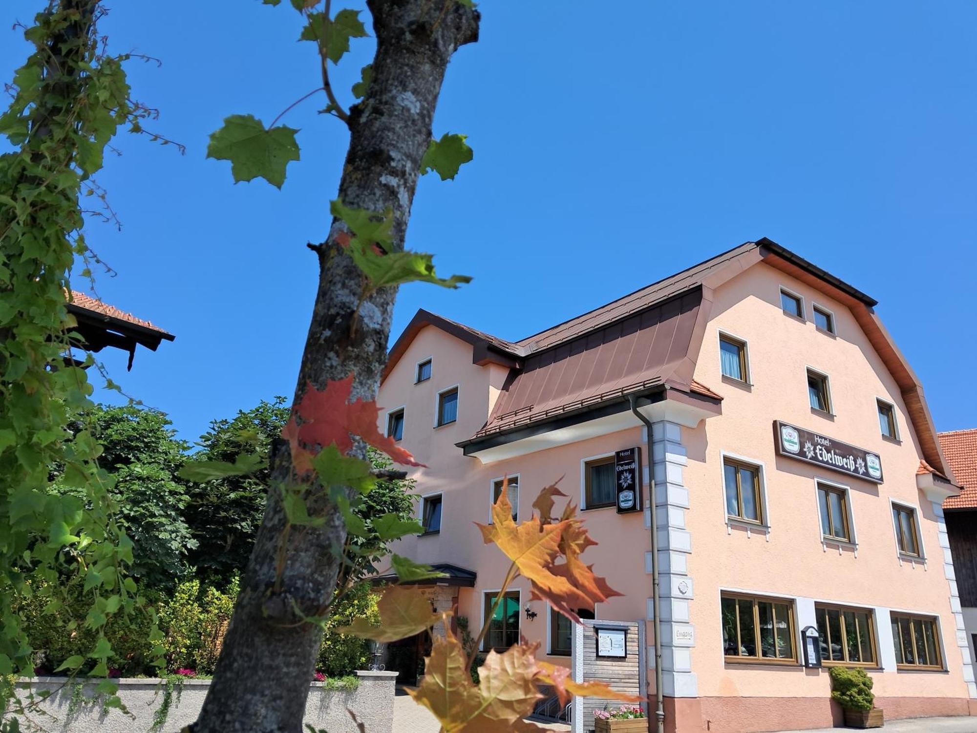 Hotel Garni Edelweiss ジークスドルフ エクステリア 写真
